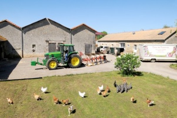 74 de ferme riscă să intre sub incidenţa plafonării subvenţiilor agricole